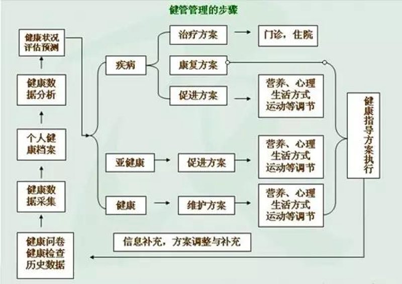 营养师在线咨询：便捷健康咨询新方式